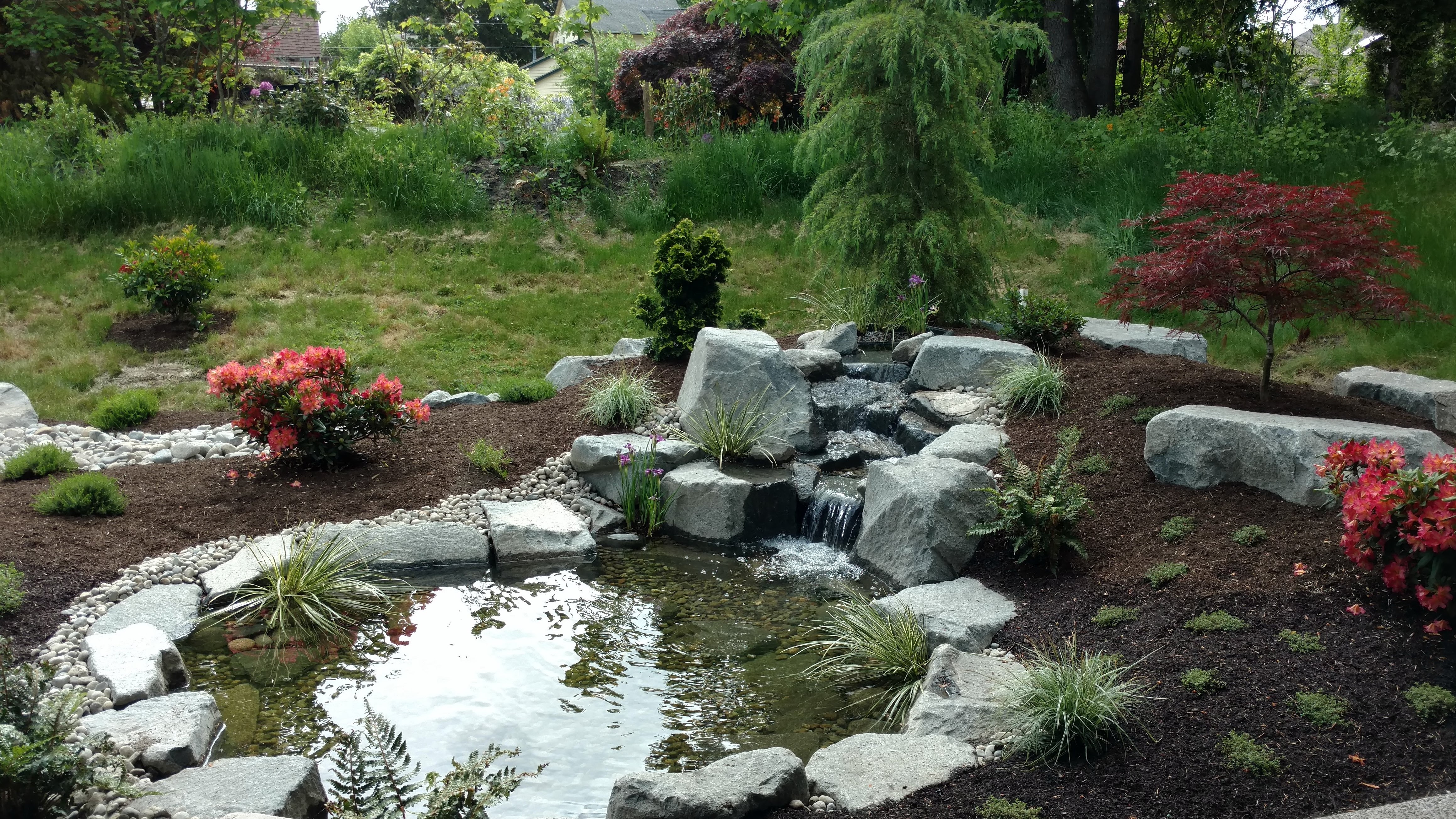 Ponds & Water Gardens